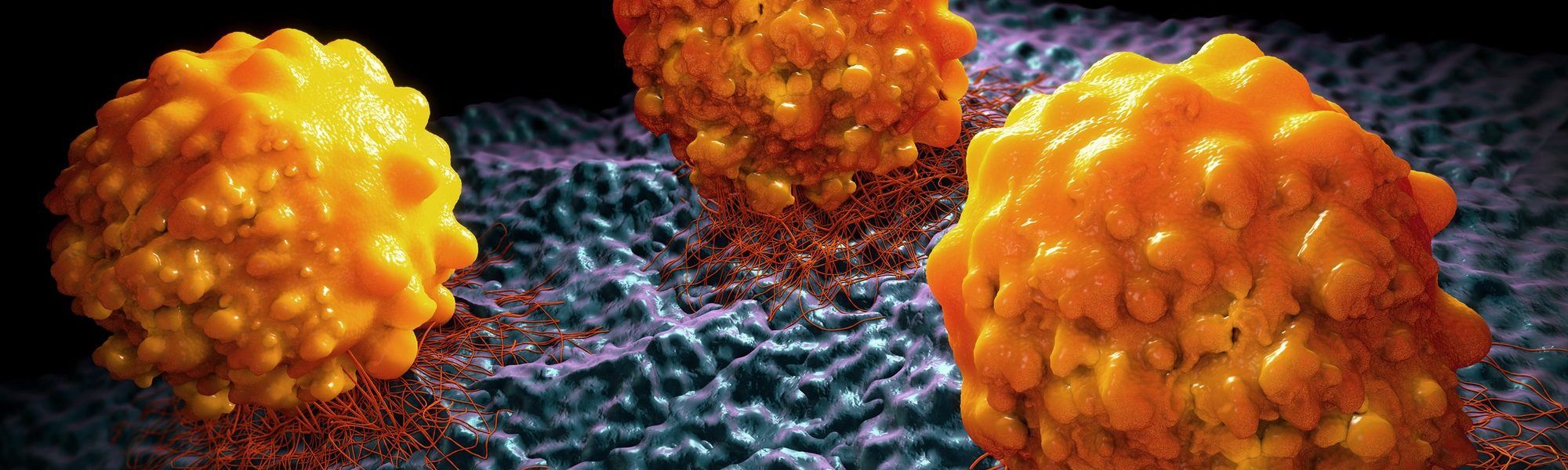 3d illustration of cancer cells