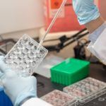 Researcher using cell dish in lab