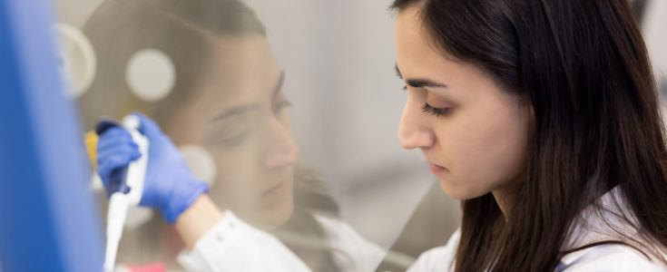 Researcher working in the lab