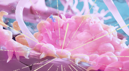 Rendering of drug penetrating brain tumor