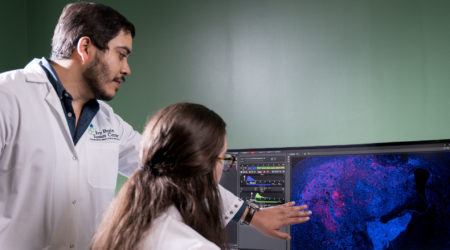Researchers analyzing data in lab on computer