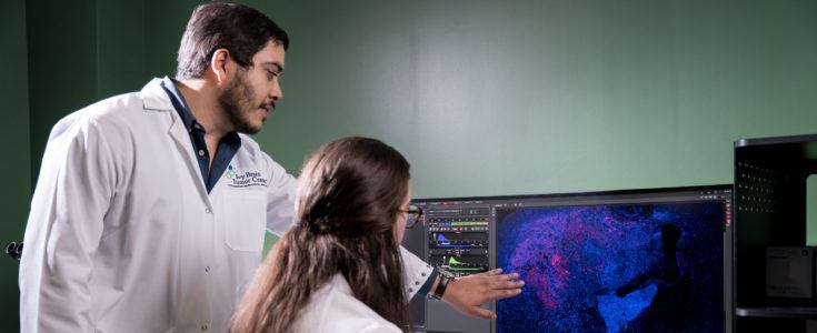Researchers analyzing data in lab on computer