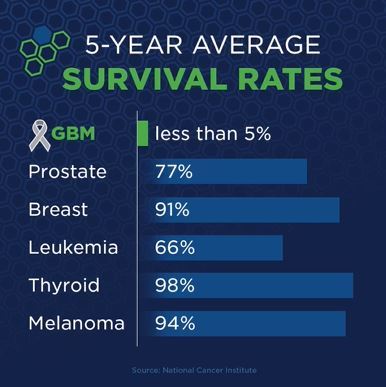 GBM Day Survival Rates