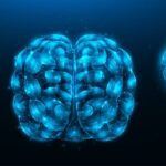 3 views of brain, digital rendering